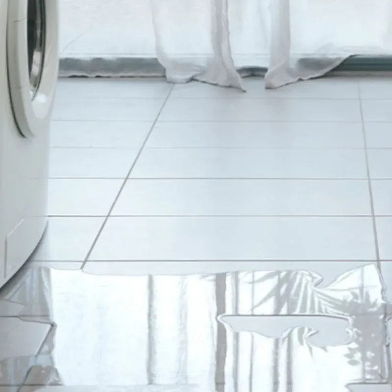 Appliance Leak Cleanup in Red Hill, SC